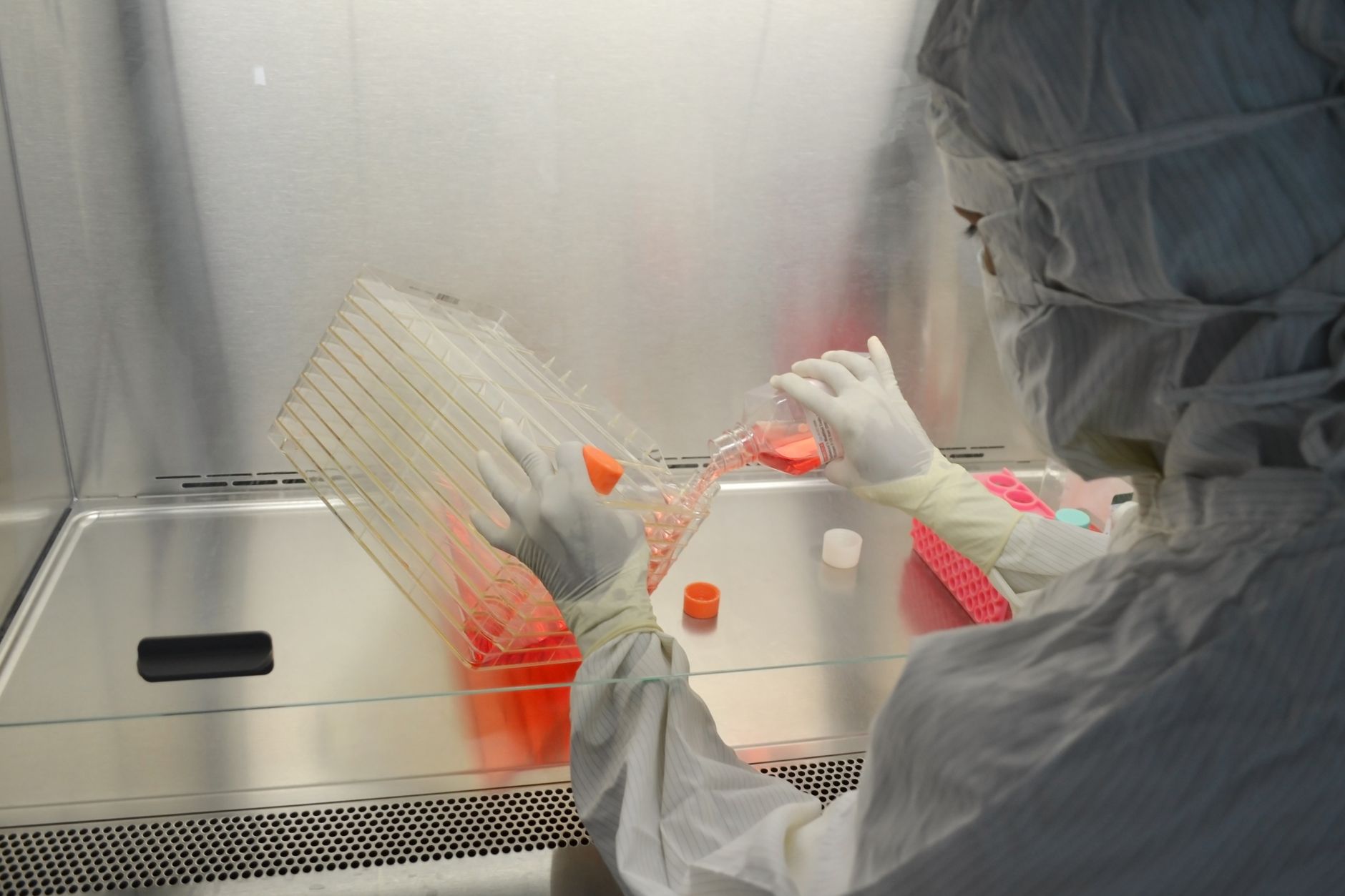 Is Gene Rejuvenation Therapy the Best Way to Reverse Aging?