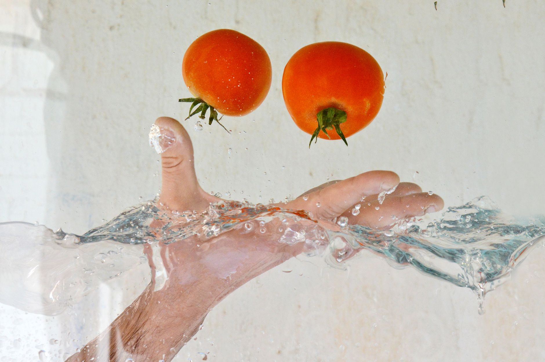 Tomato trick: Is this the easiest way to harvest early?